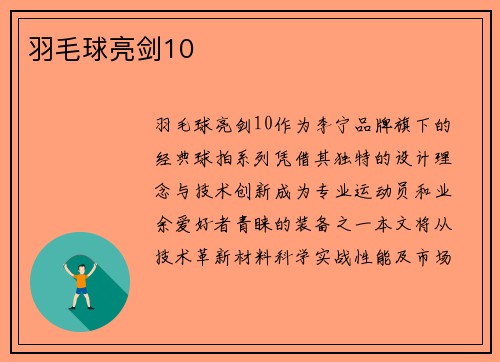 羽毛球亮剑10